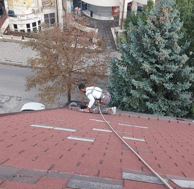 Галерия 12